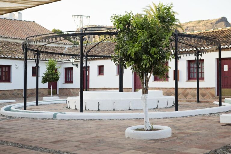 Cortijo del Arte 1 16 768x512