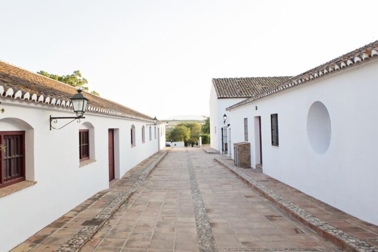 Cortijo del Arte 1 17 768x512