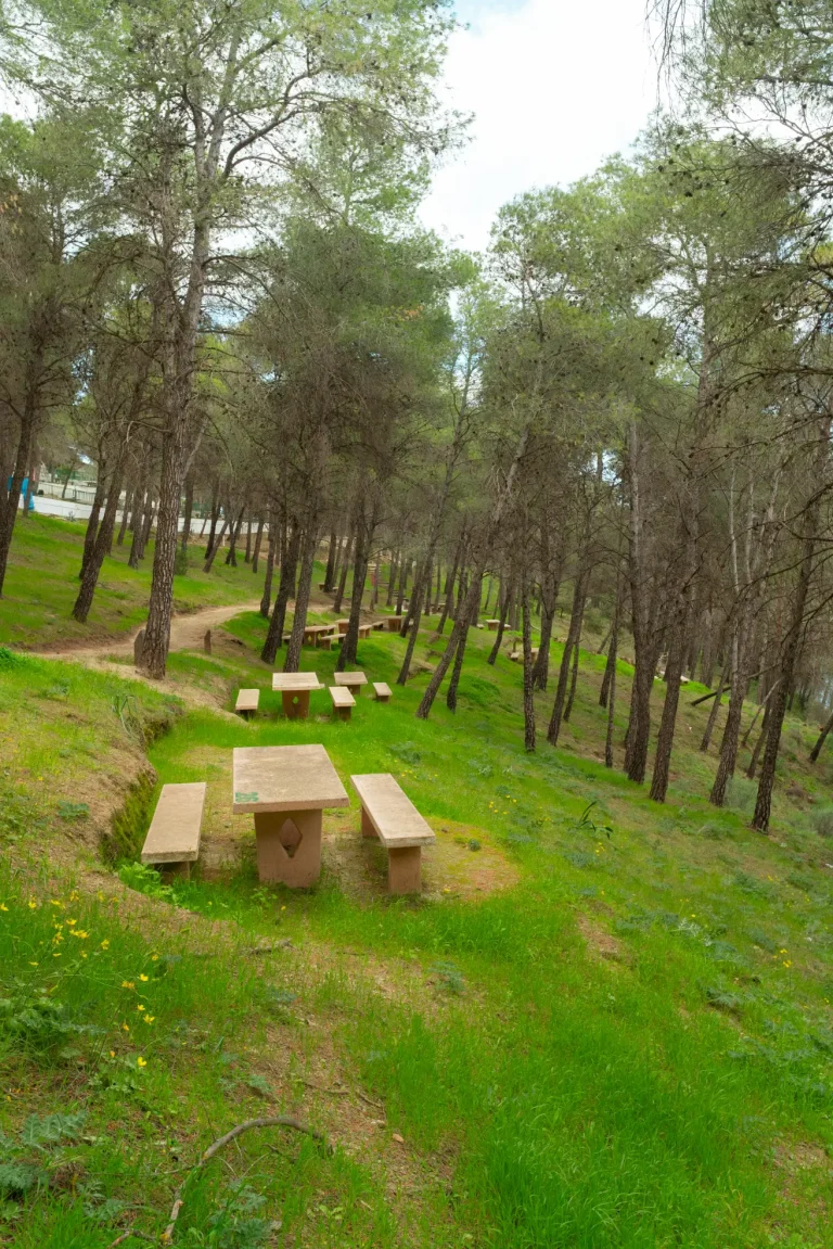 Parque Ardales Camping y Apartamentos 3 768x1151