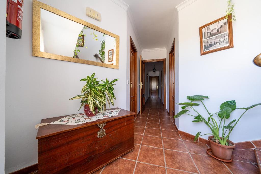 hostal-vista-a-la-sierra-valle-abdalajis