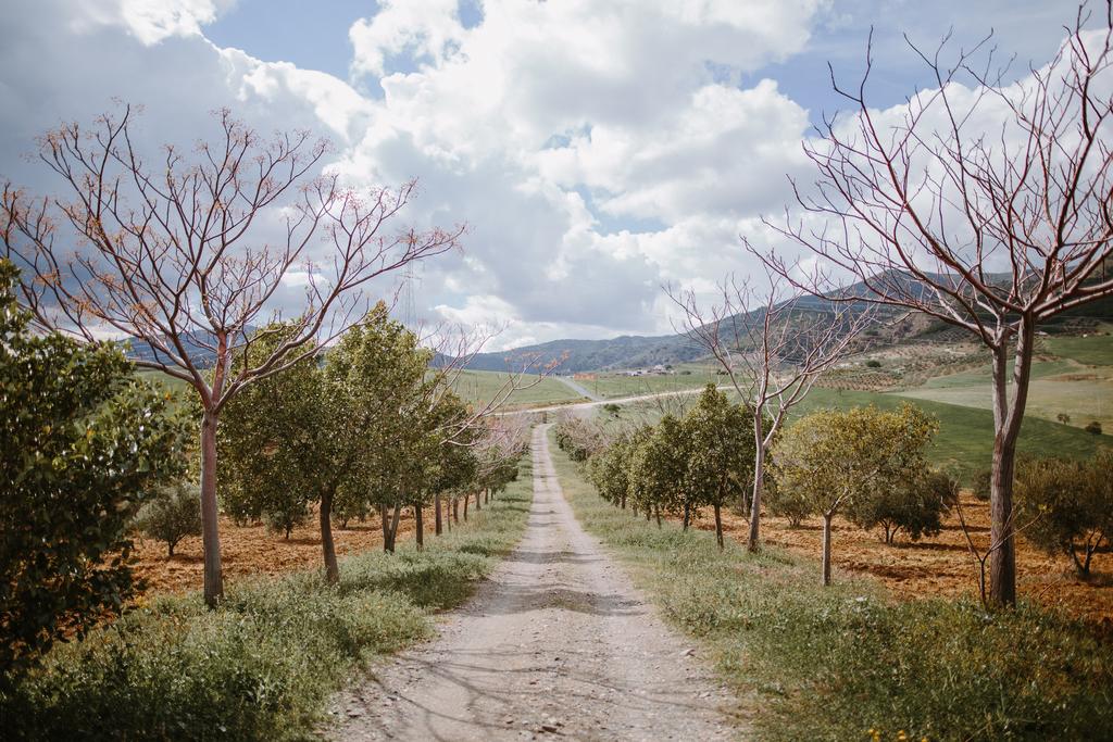loma-del-sabinal