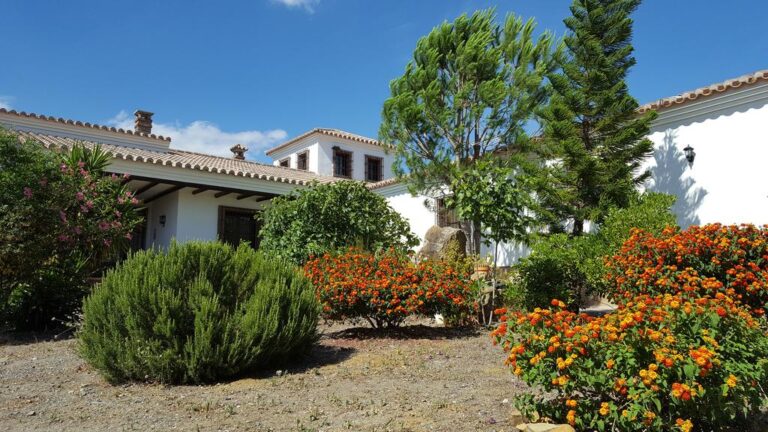loma del sabinal 4 768x432
