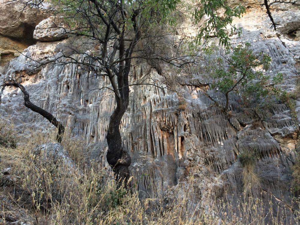 Ruta Jurásica Monte Hacho de Álora