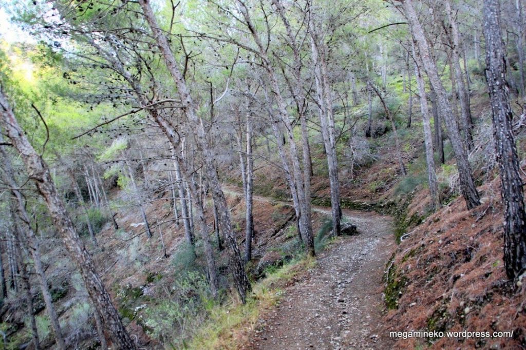 ruta senderismo Santo de pizarra