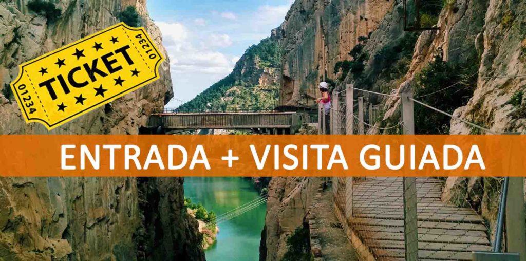 Entrada + visita guiada