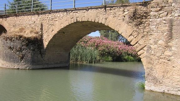 Ruta senderismo en Ardales PR-A 91 Sendero Jimenez – Fuente Garzón