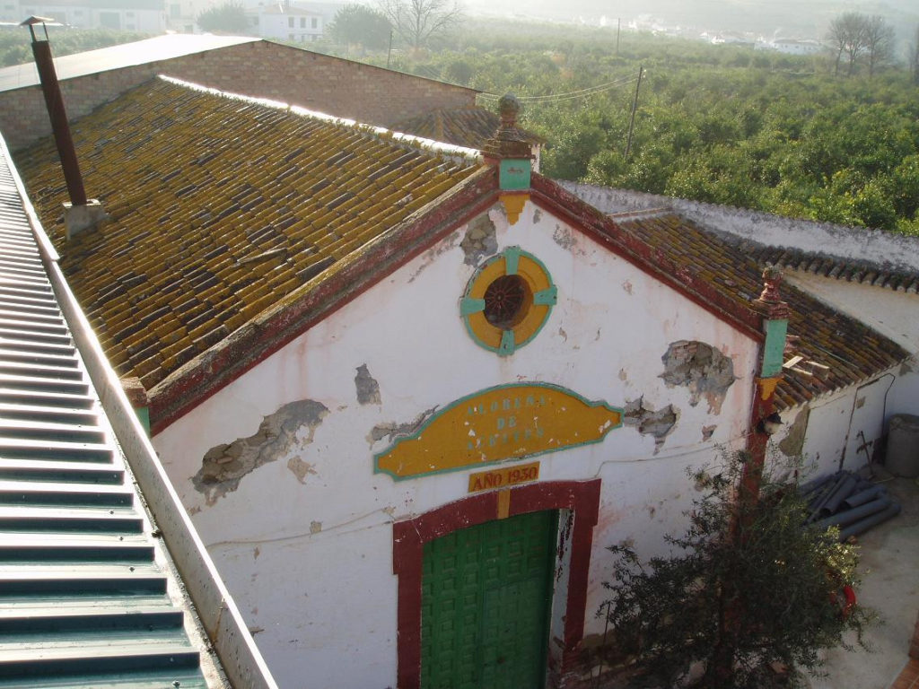 museo molino aceitero La Molina