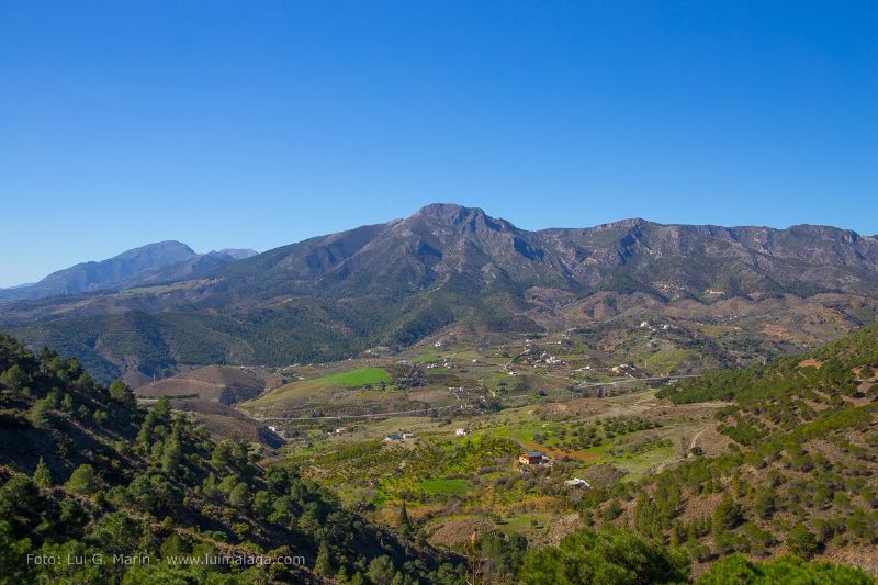 Carretera-paisajistica-alora-carratraca (11)