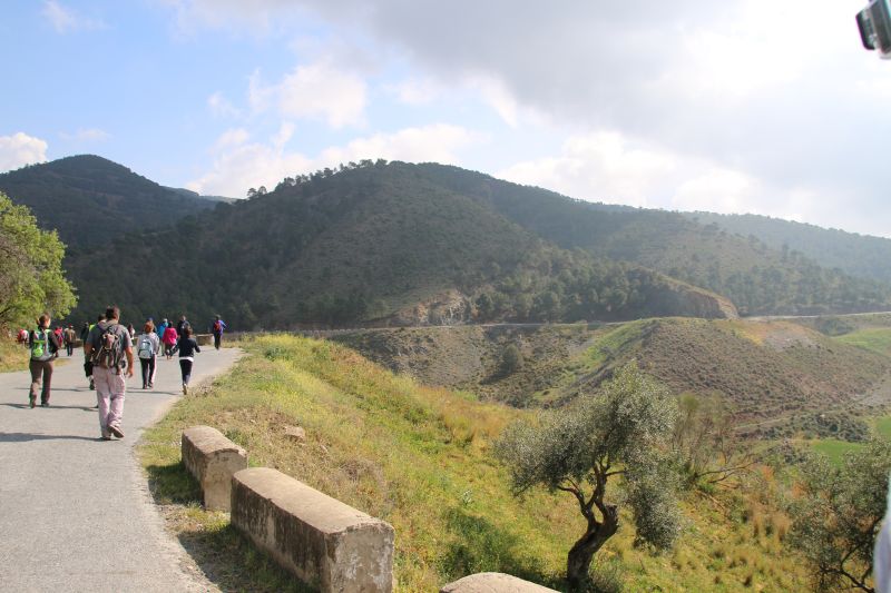 Carretera-paisajistica-alora-carratraca (18)