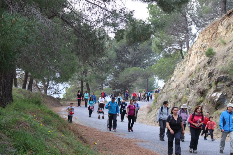 Carretera-paisajistica-alora-carratraca (23)