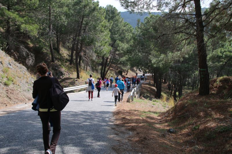 Carretera-paisajistica-alora-carratraca (25)