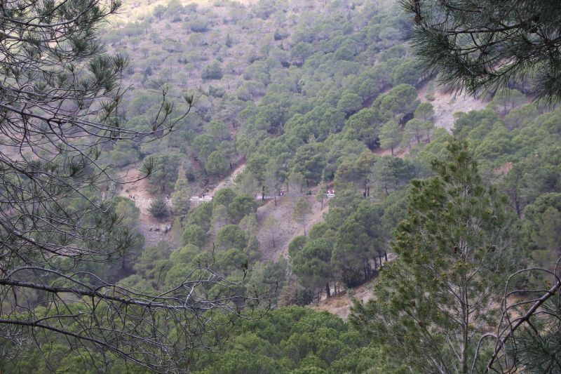 Carretera-paisajistica-alora-carratraca (27)