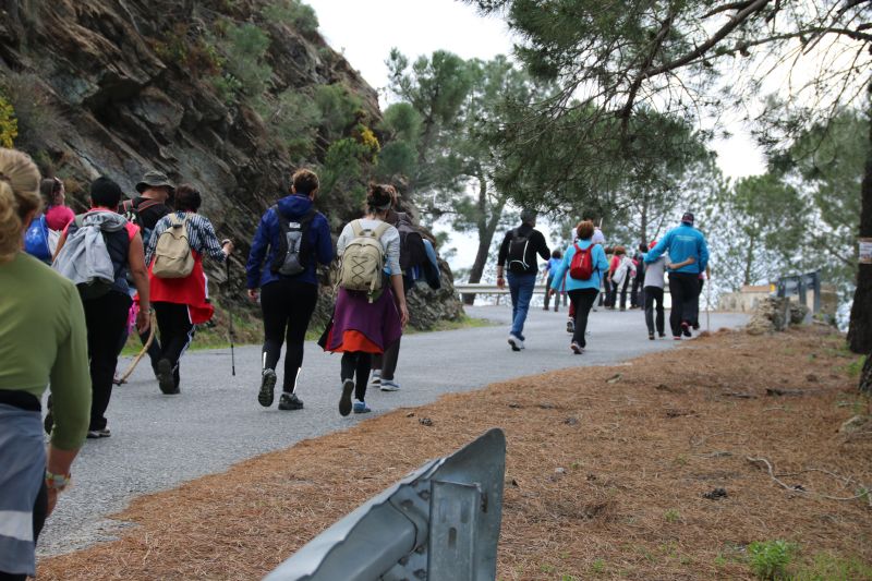 Carretera-paisajistica-alora-carratraca (29)