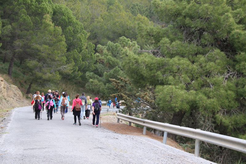 Carretera-paisajistica-alora-carratraca (31)