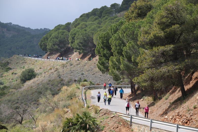 Carretera-paisajistica-alora-carratraca (32)