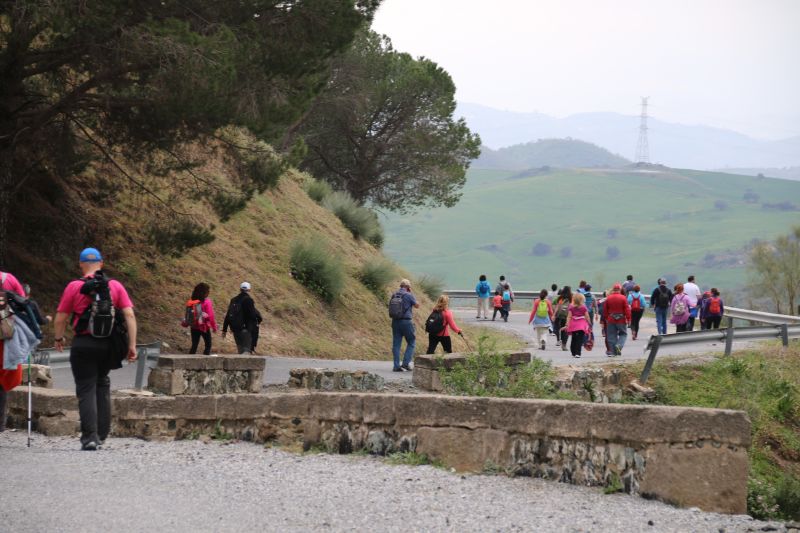 Carretera-paisajistica-alora-carratraca (35)