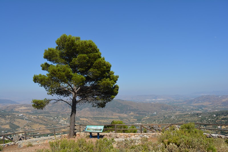 mirador senderismo casarabonela