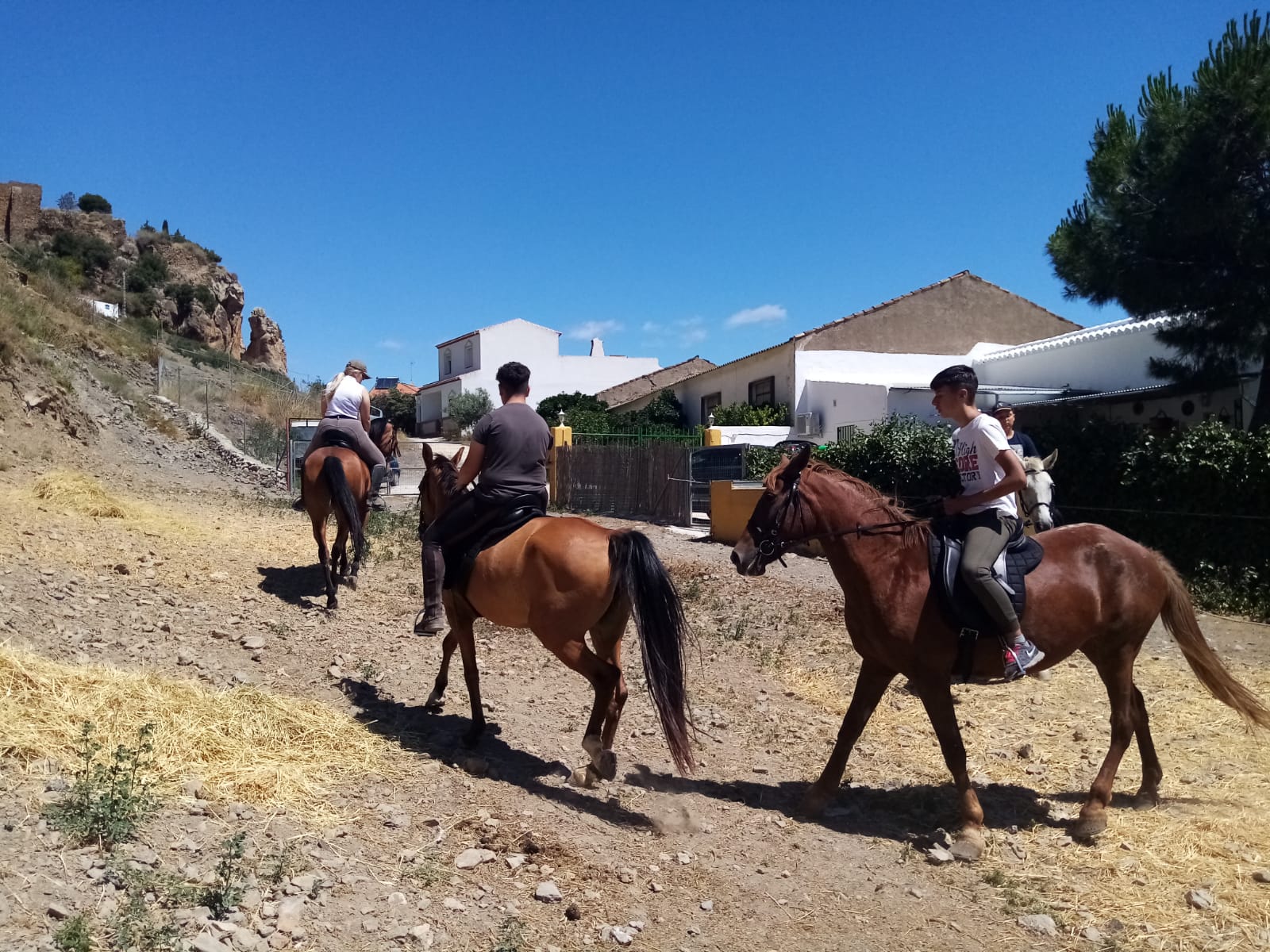 Rutas a caballo