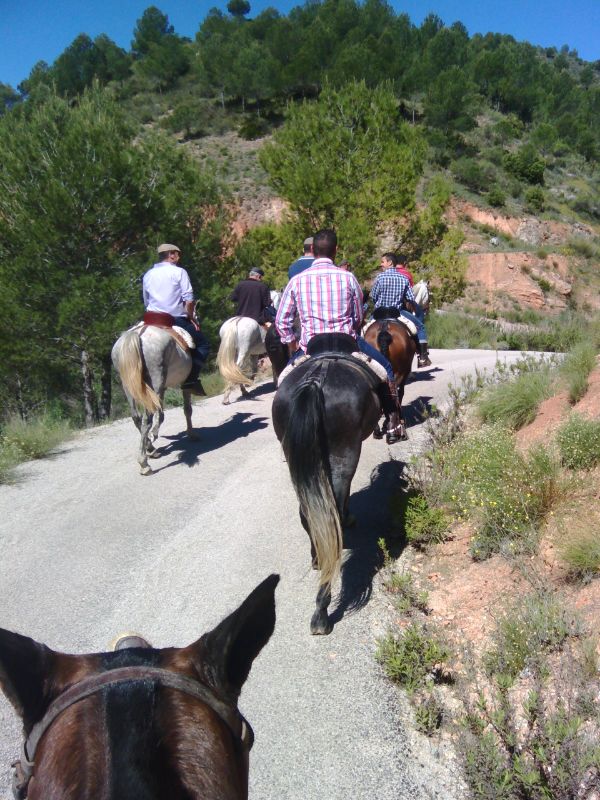 Ruta a caballo el Chascá – Paseos a caballo en Ardales – Triángulo Activo