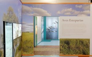 Visita Campillos - Centro interpretación Lagunas