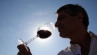 Bodegas de vinos