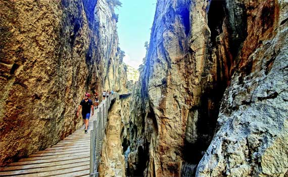 Caminito del Rey con transporte en autobús