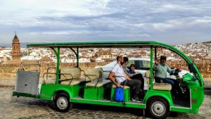 Visita guiada a Antequera y los Dólmenes en microbús eléctrico