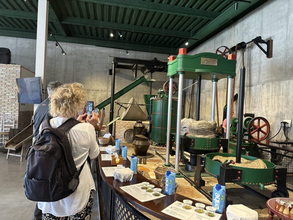 Oleoturismo en Málaga – Visitas guiadas Molino aceitero Molisur