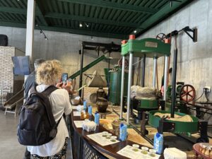 Oleoturismo en Málaga – Visitas guiadas Molino aceitero Molisur