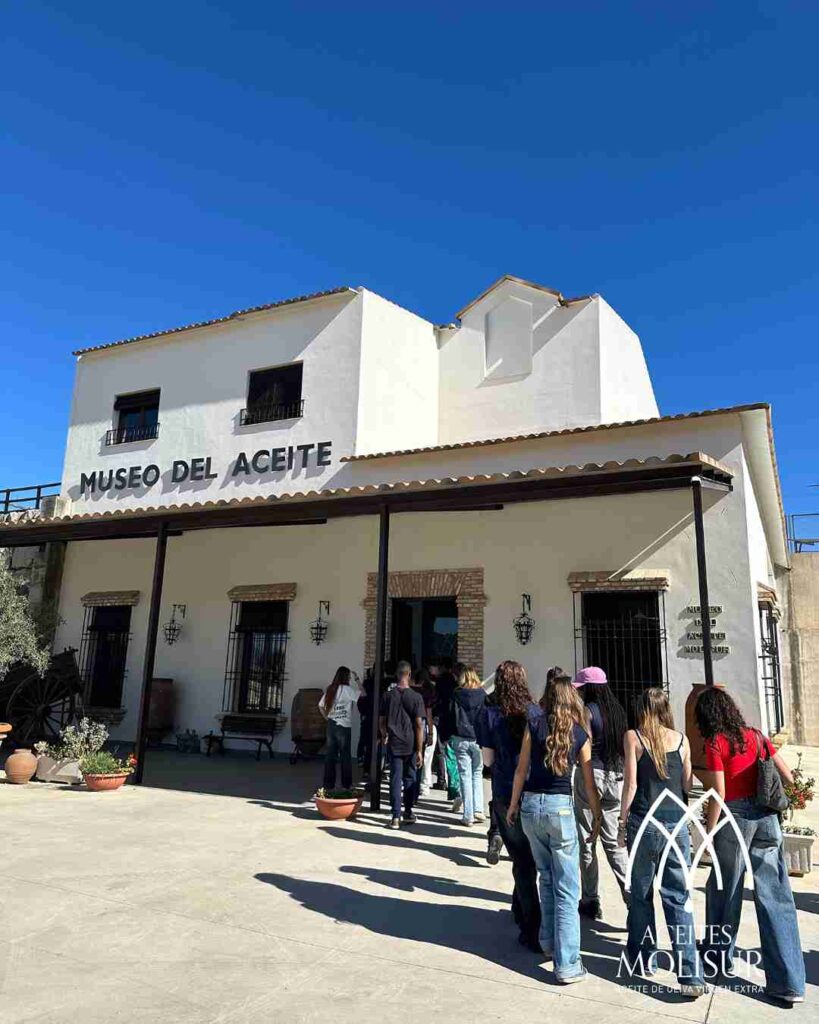 Oleoturismo en Málaga