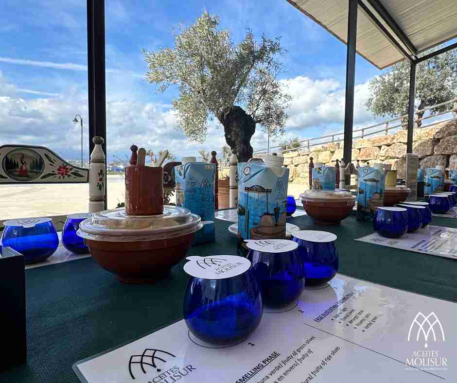 Oleoturismo en Málaga