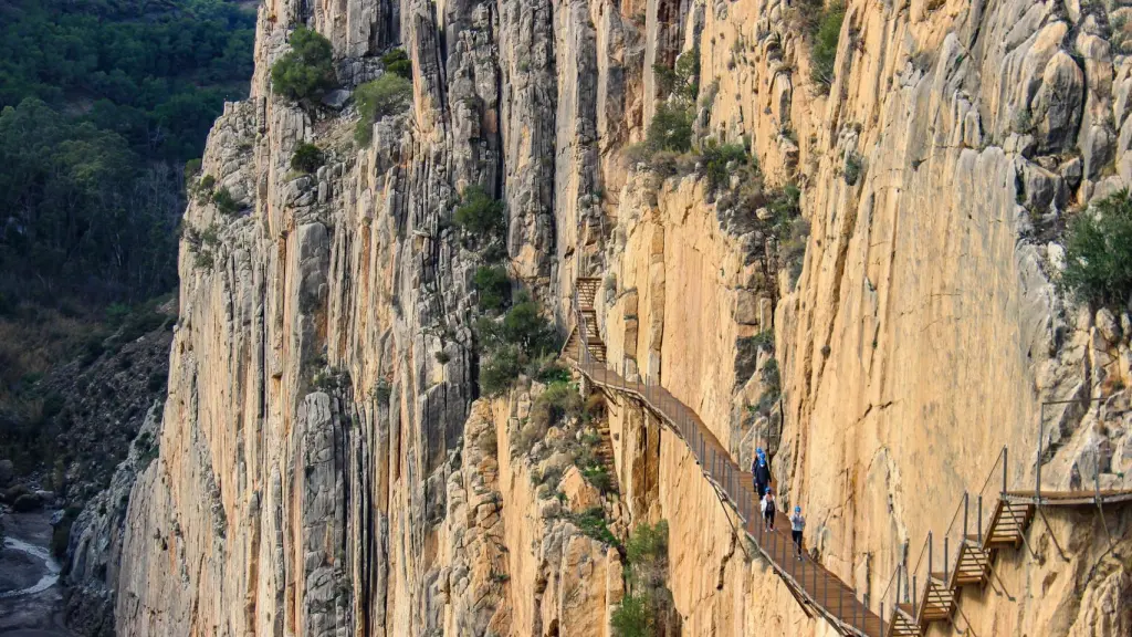 Desde Málaga al Caminito del Rey con visita guiada