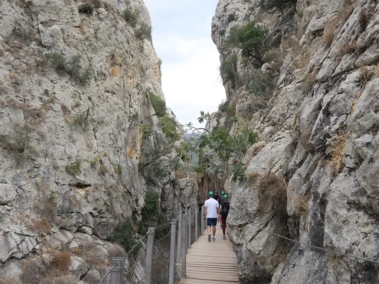 Desde Málaga al Caminito del Rey con visita guiada