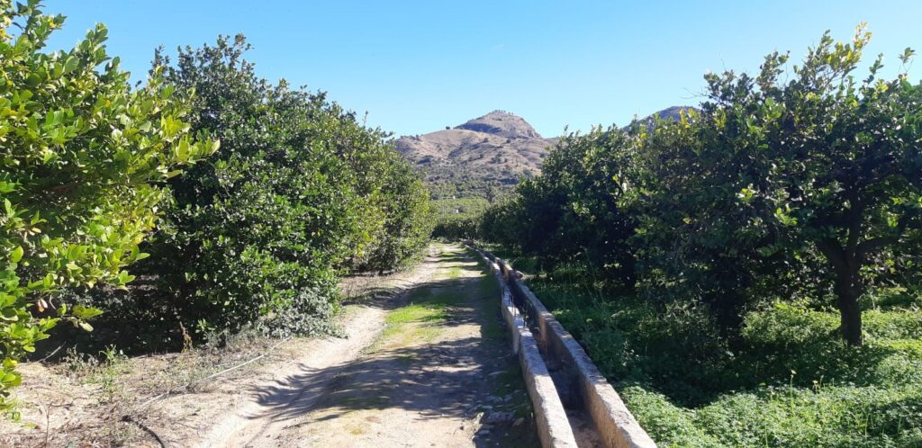 Taller de esencias naturales