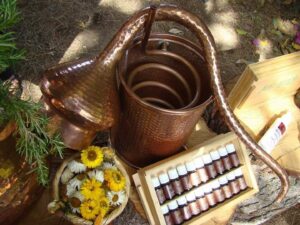 Taller de esencias naturales en Málaga: cítricos, salud y aromas del valle