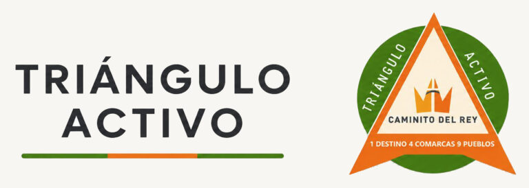 Logotipo Triangulo Activo