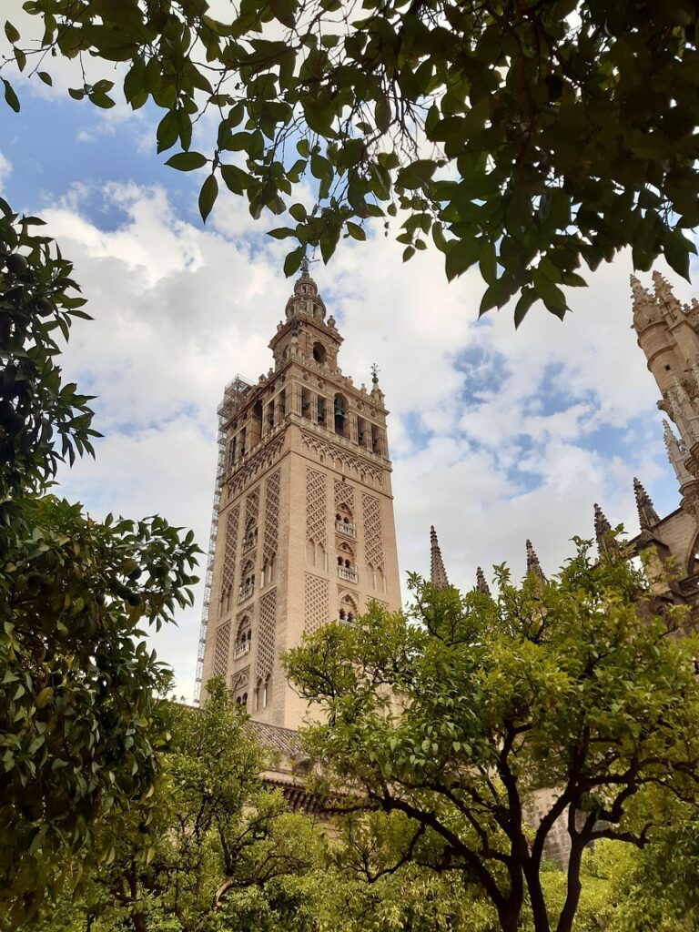 Entradas Giralda de Sevilla 2 768x1024
