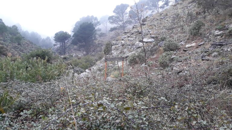 Senderismo en Casarabonela 12 768x432