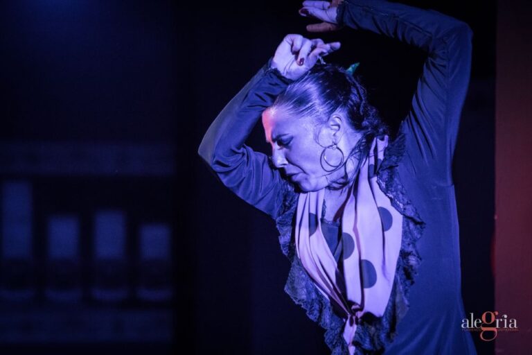 Tablao alegria espectaculo flamenco en malaga 12 768x512