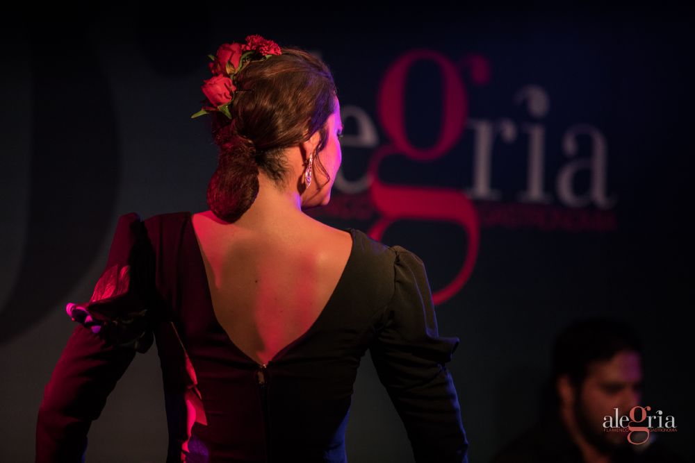 Espectáculo-flamenco-Malaga-mujer-baile