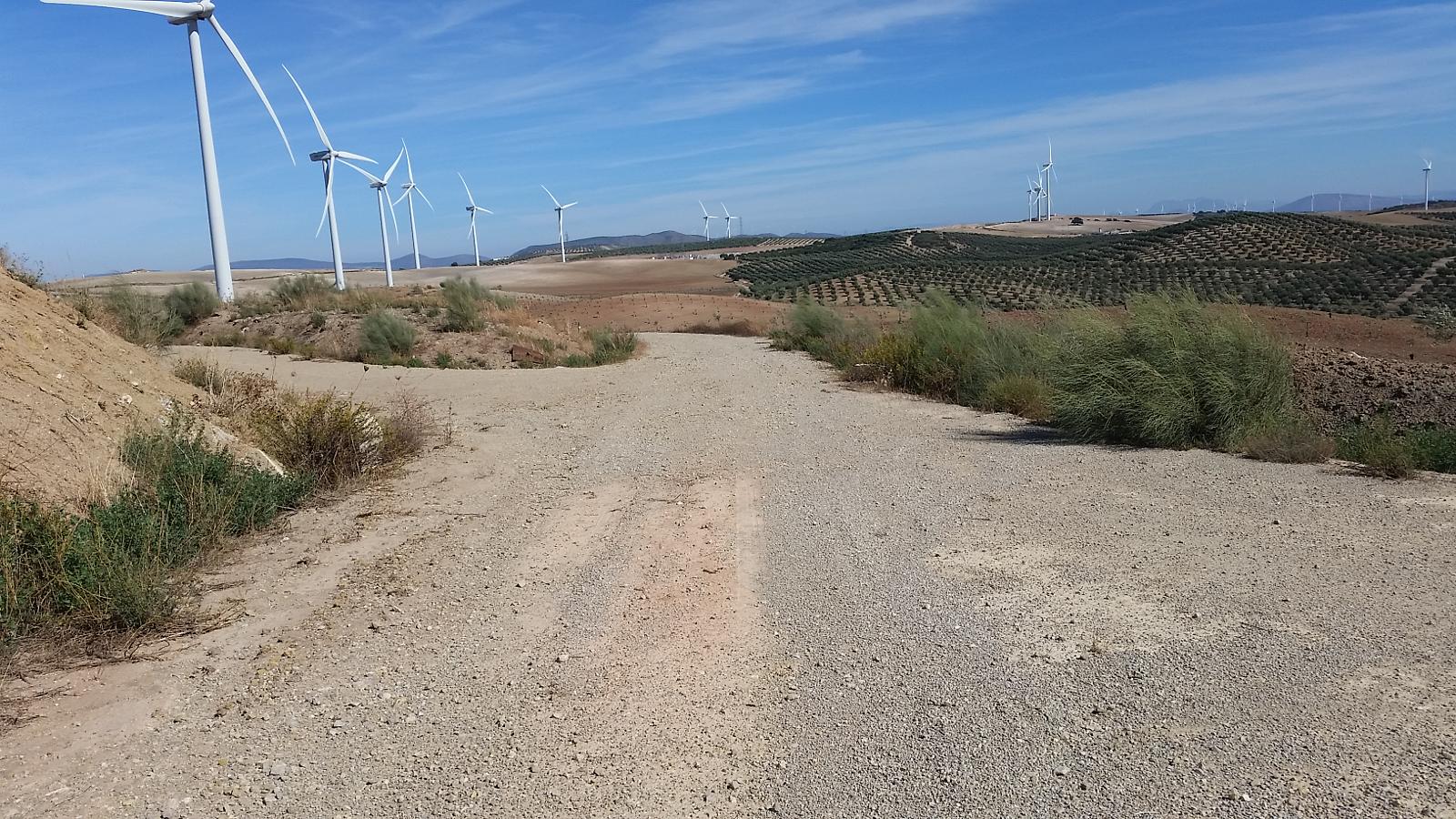 ruta-de-senderismo-en-campillos