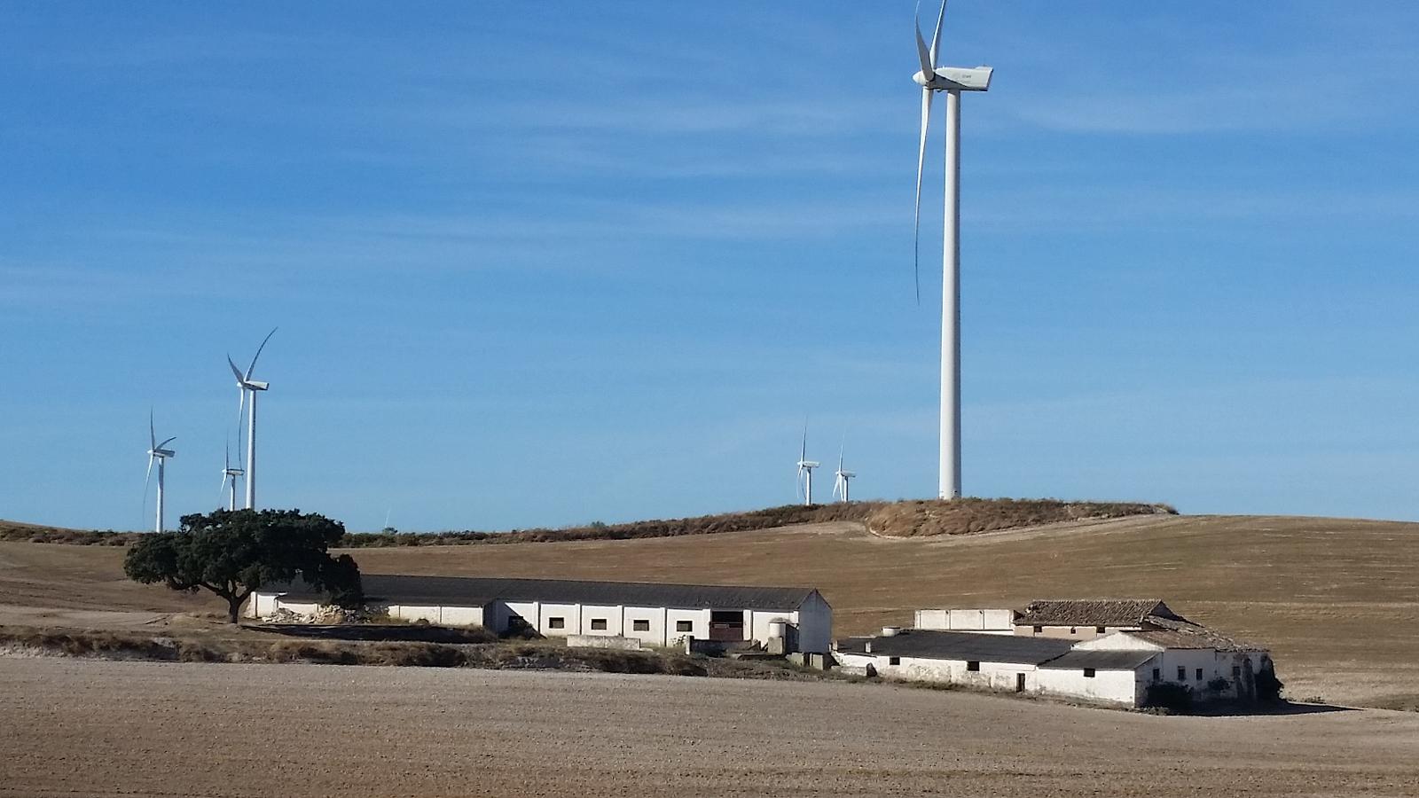 ruta-de-senderismo-en-campillos