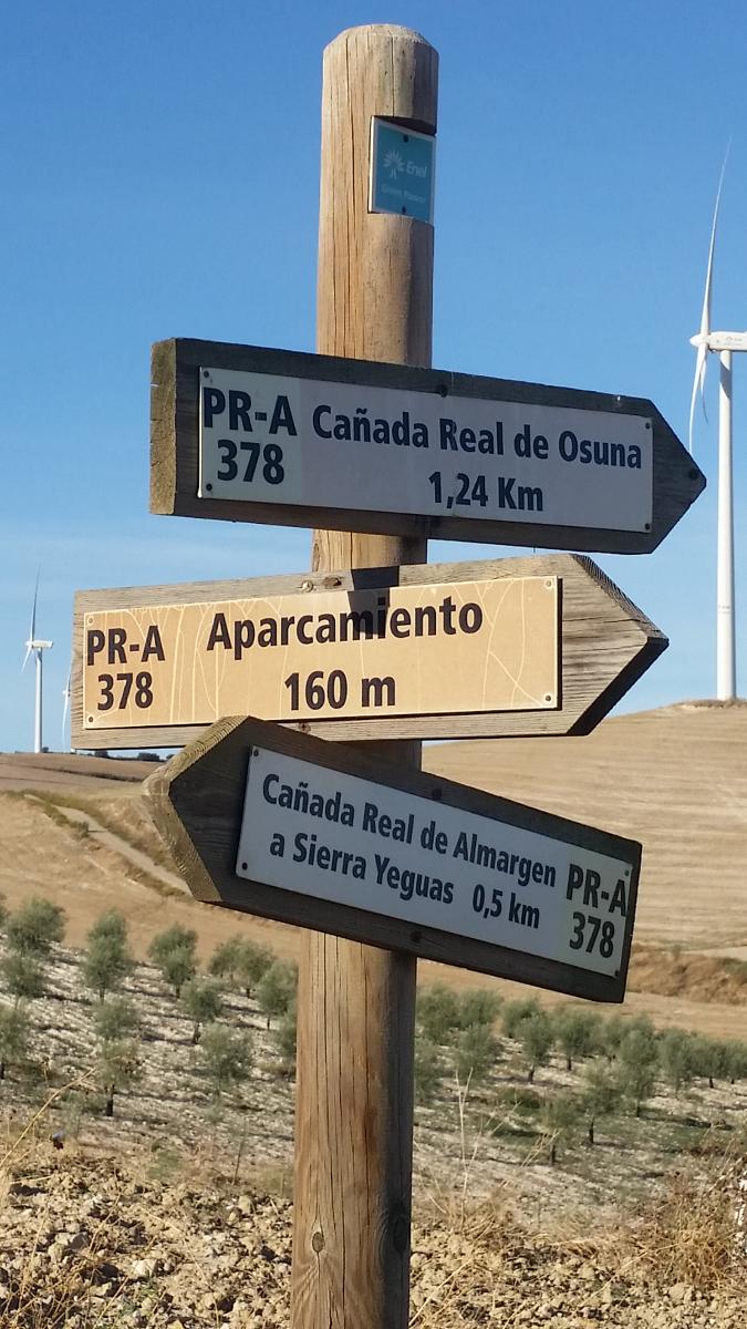 ruta de senderismo en campillos 6