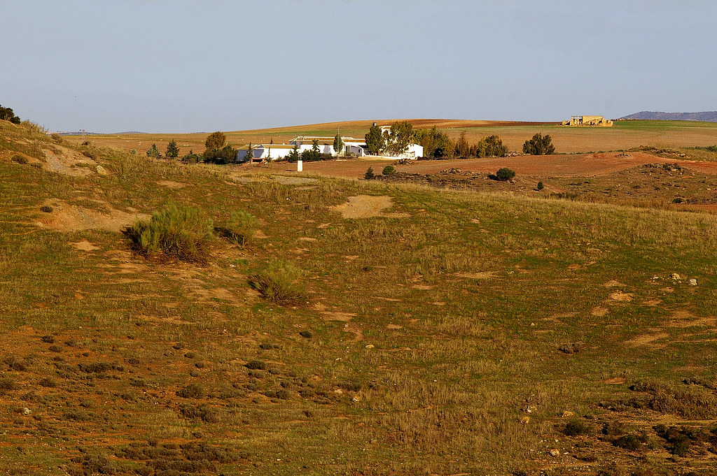 ruta-de-senderismo-lagunas-de-campillos