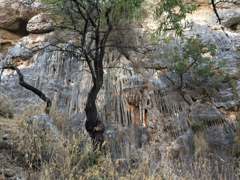 ruta jurasica monte hacho 7 1 768x576