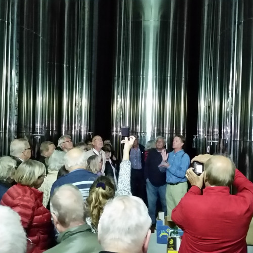 visita-guiada-aceite-Anvioro-molino-aceitero-la-molina
