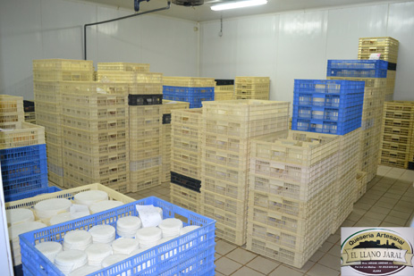 maduracion-queso-el-llano-del-jaral