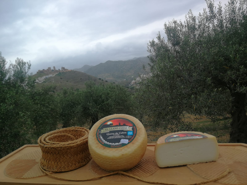 queso-el-llano-del-jaral