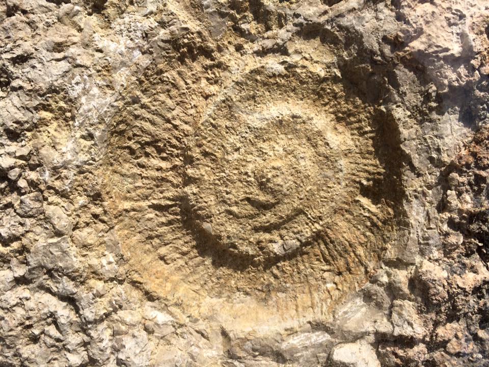 visita-guiada-italiano-caminito-del-rey