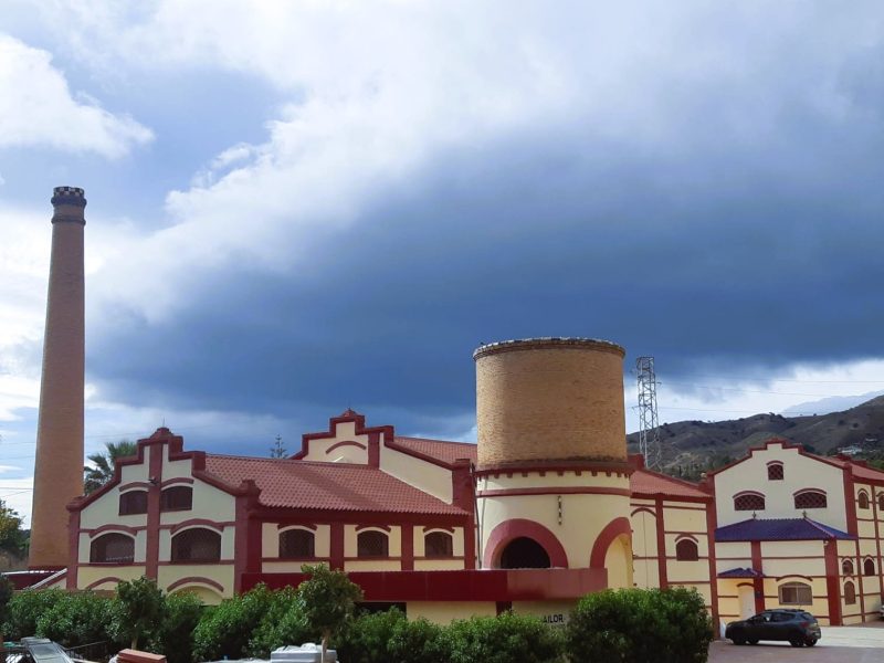 Ruta-del-azahar-entre-cítricos-en alora (2)